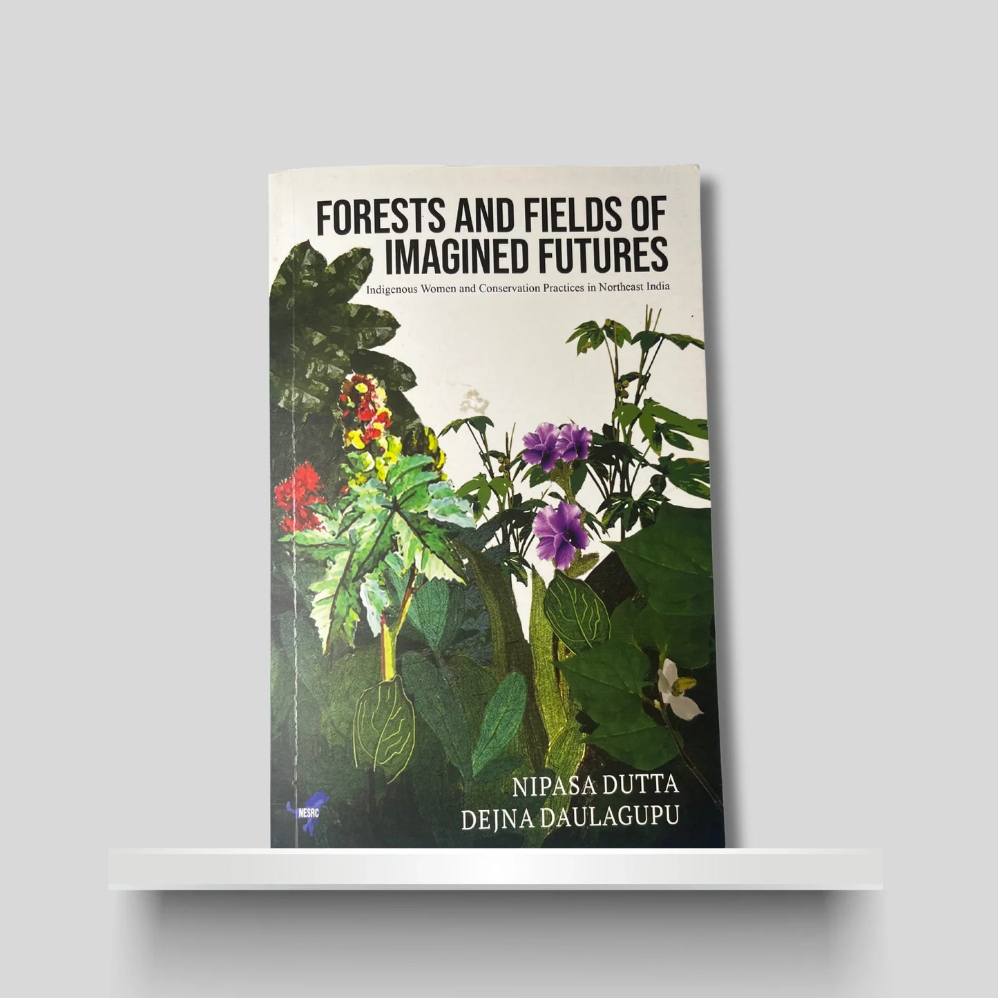 Forests & Fields of Imagined Future