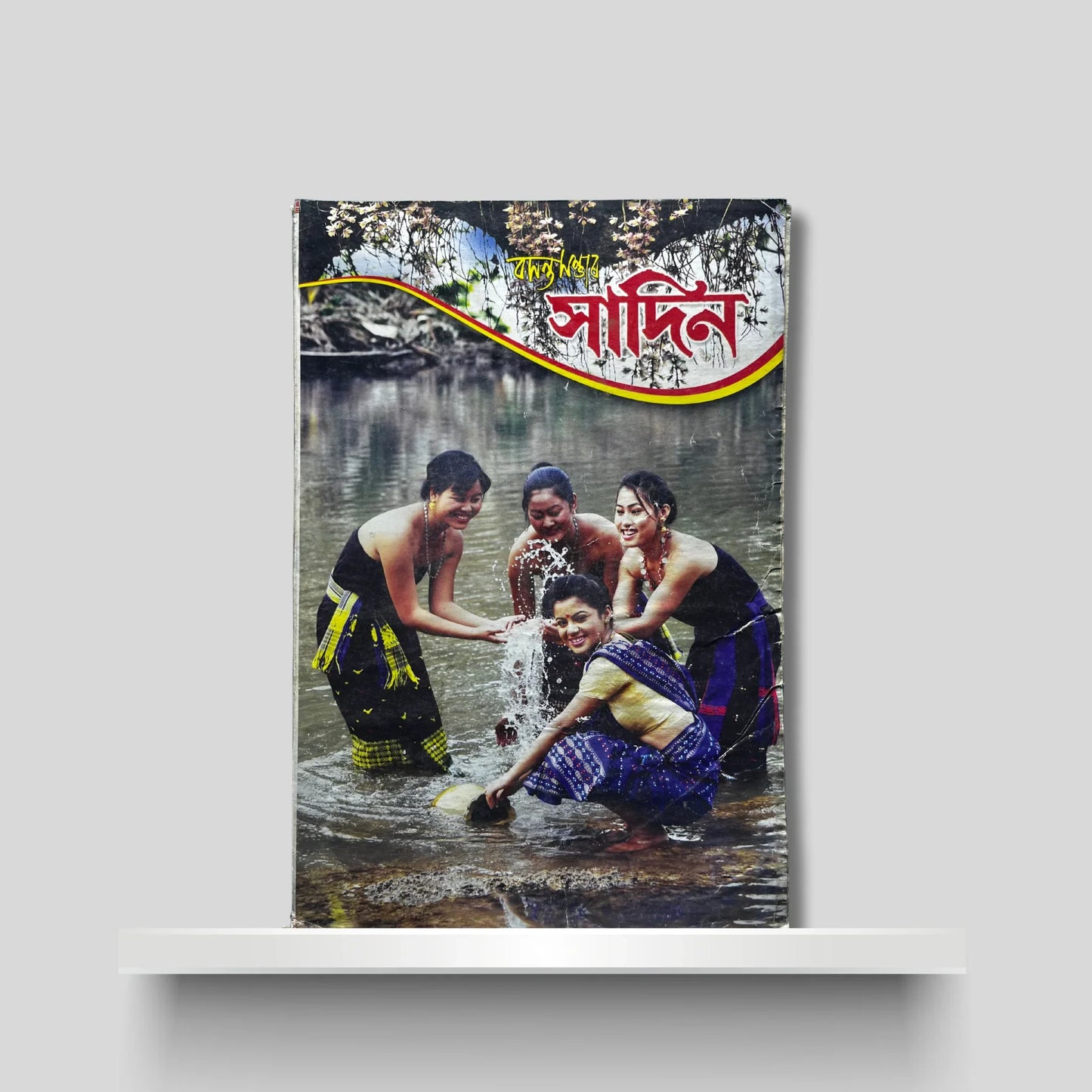 বসন্ত সম্ভাৰ সাদিন ২০১৩