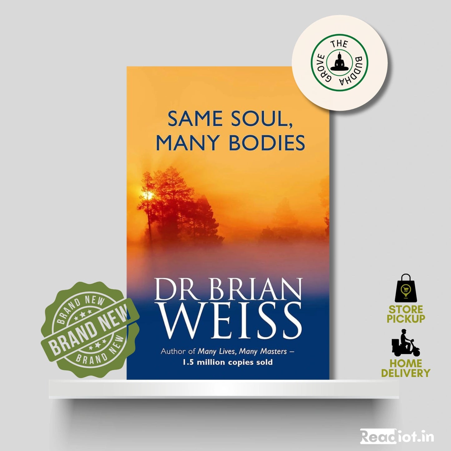Same Soul Many Bodies